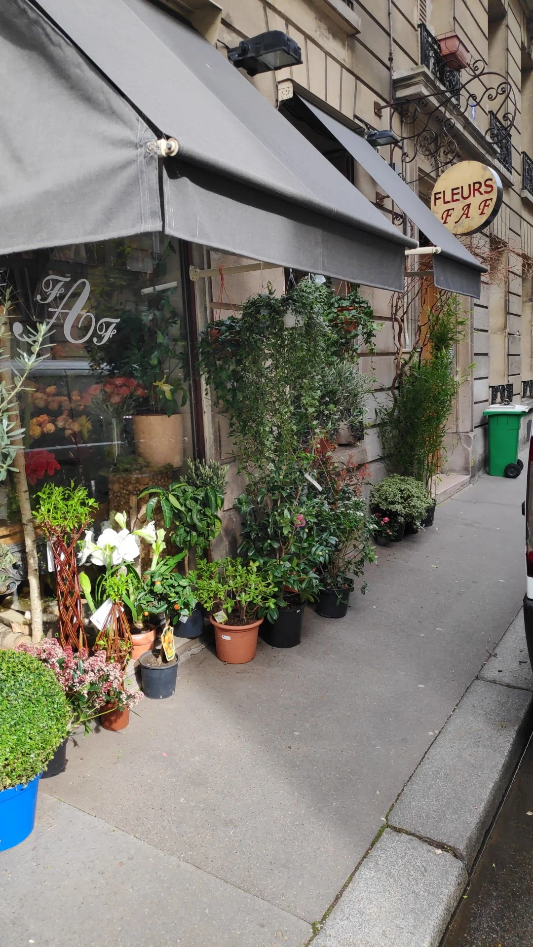 ATELIER FLASH FLEURS | Fleuriste Paris - 5