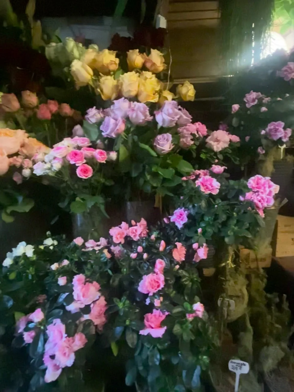 Atelier floral - 3