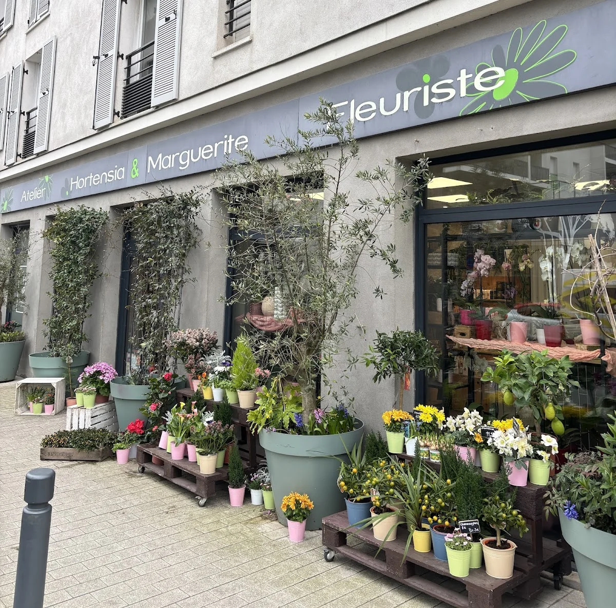 Atelier Hortensia et Marguerite, Fleuriste Angers