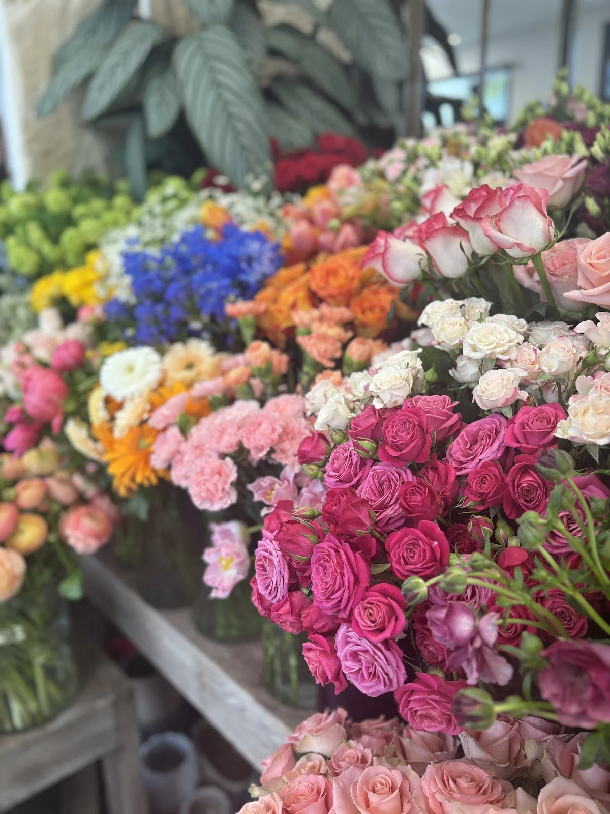 Atelier Hortensia et Marguerite, Fleuriste Angers - 5