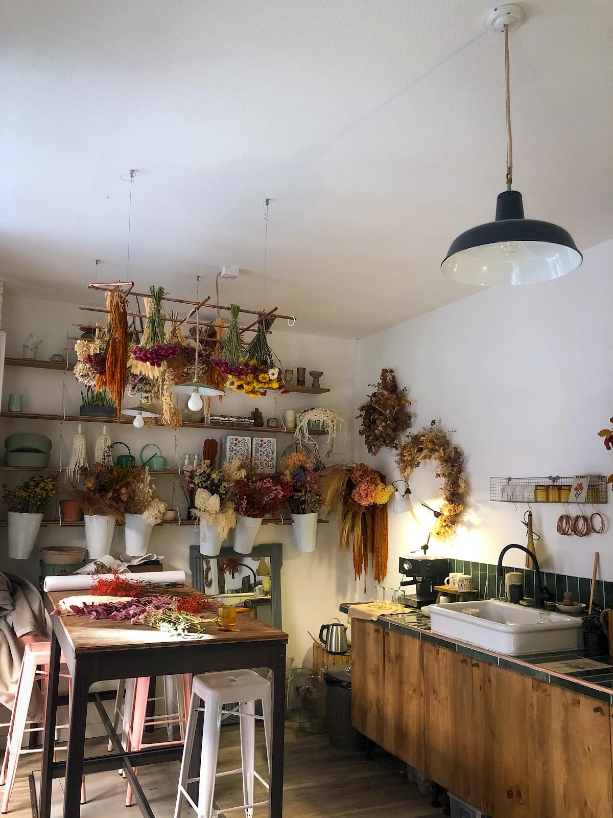 Atelier Hosta - 3