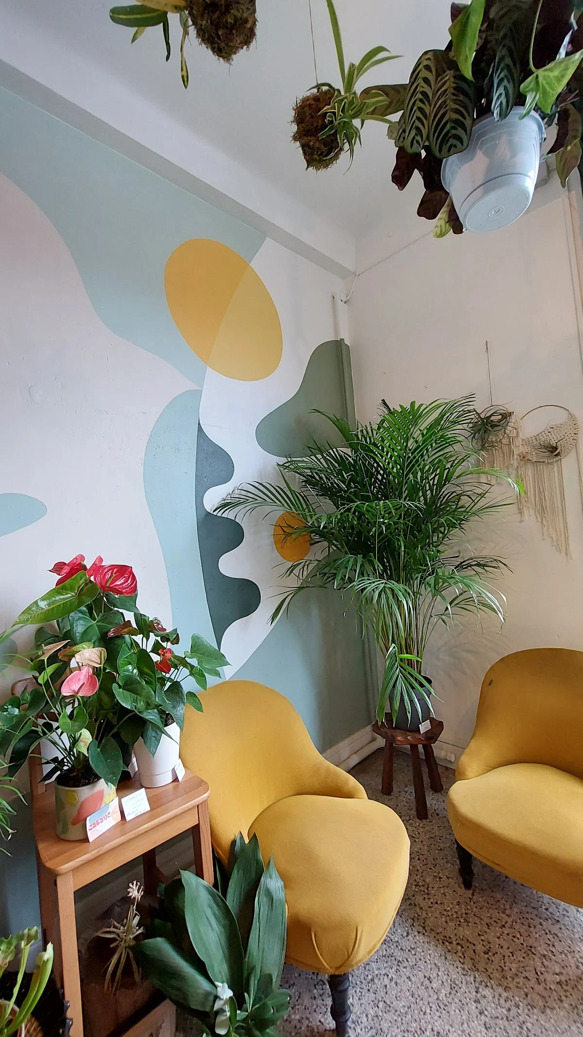 Atelier Santoline Fleuriste - 5