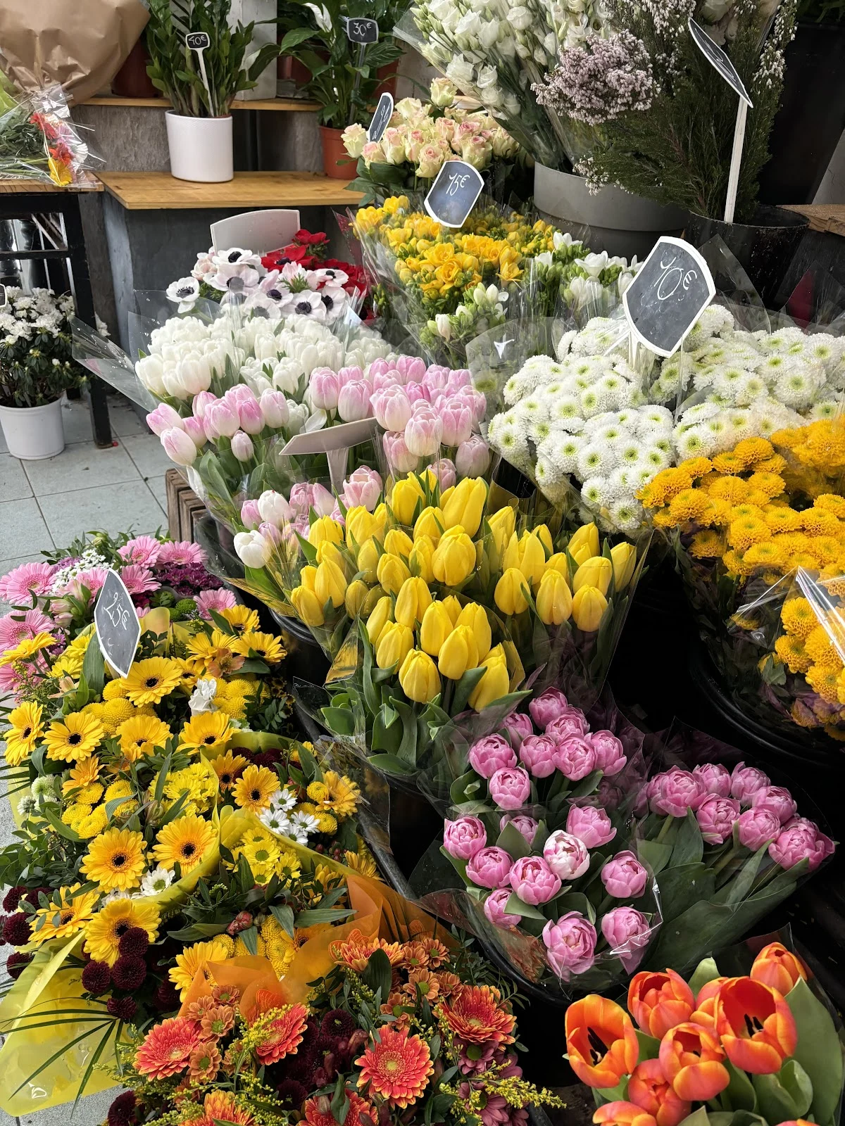 Au Bouquet de Nice - 4