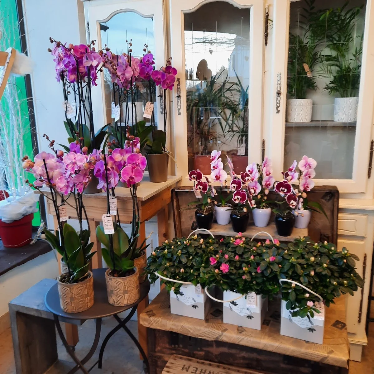 Au Coeur des Fleurs - 4