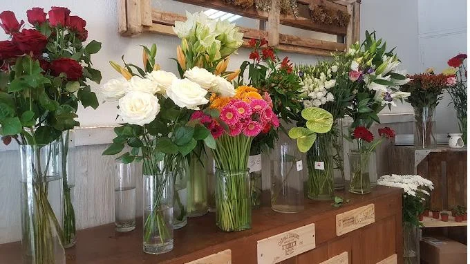 Au Delà des Fleurs - Artisan Fleuriste Gujan-Mestras - 3