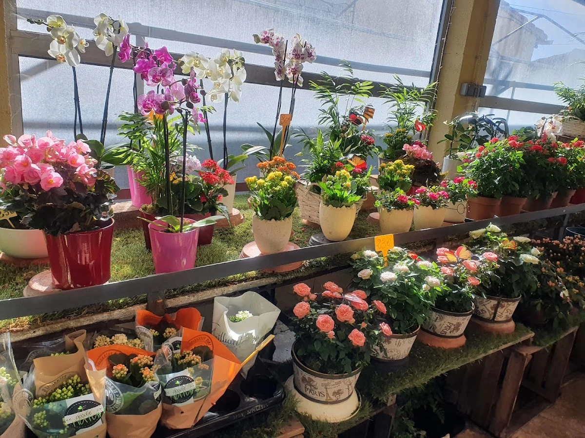Au Délice des Fleurs - 2