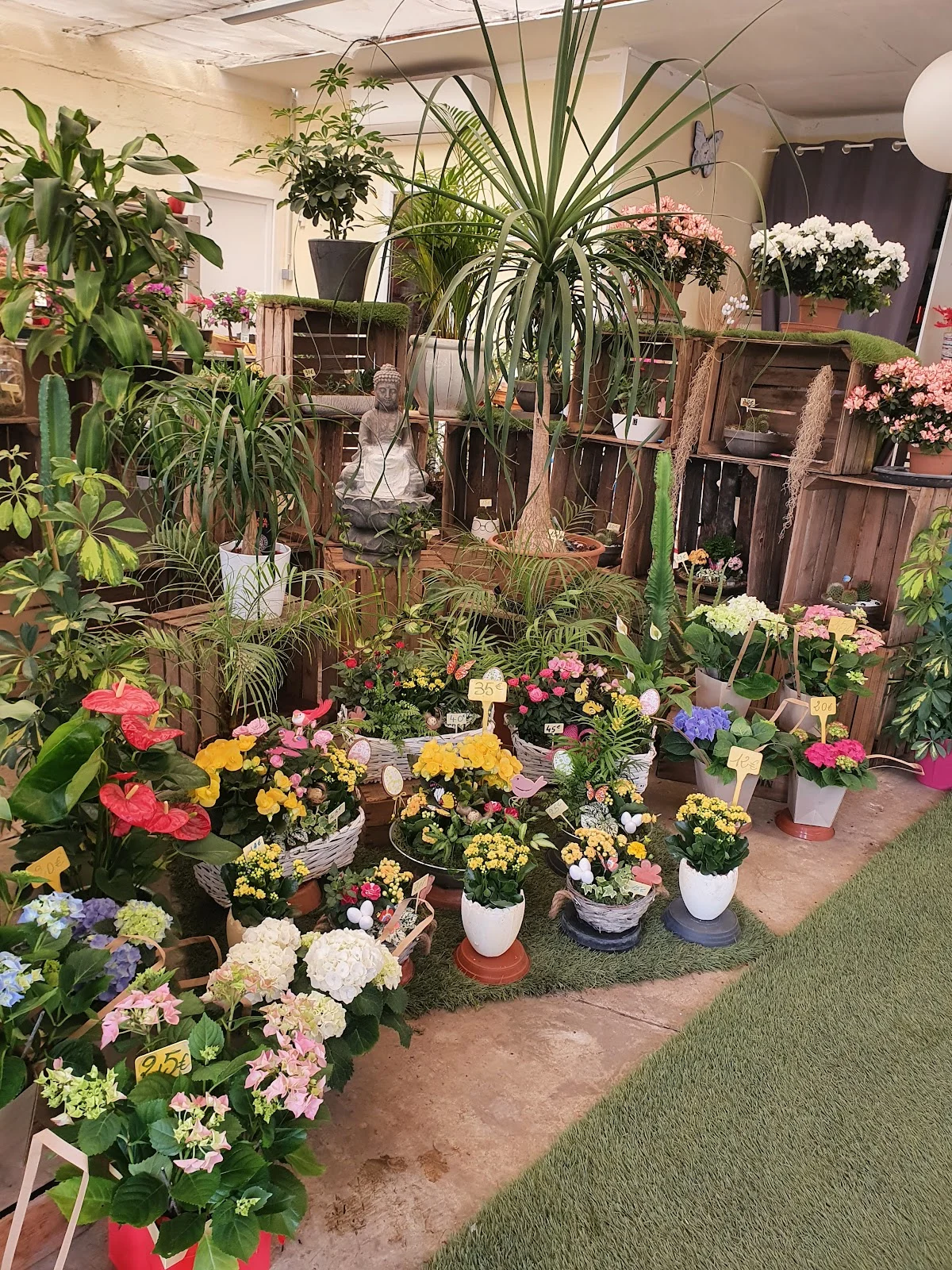 Au Délice des Fleurs