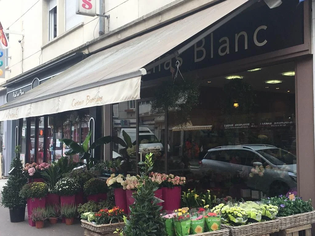 Au Lilas Blanc - 5