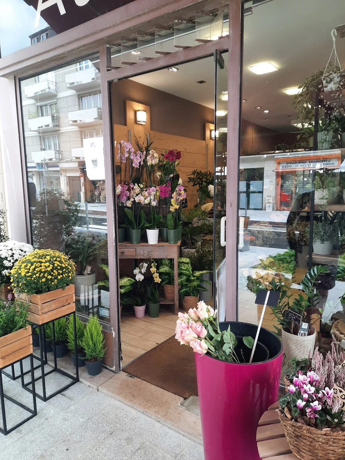 Au Lilas Blanc