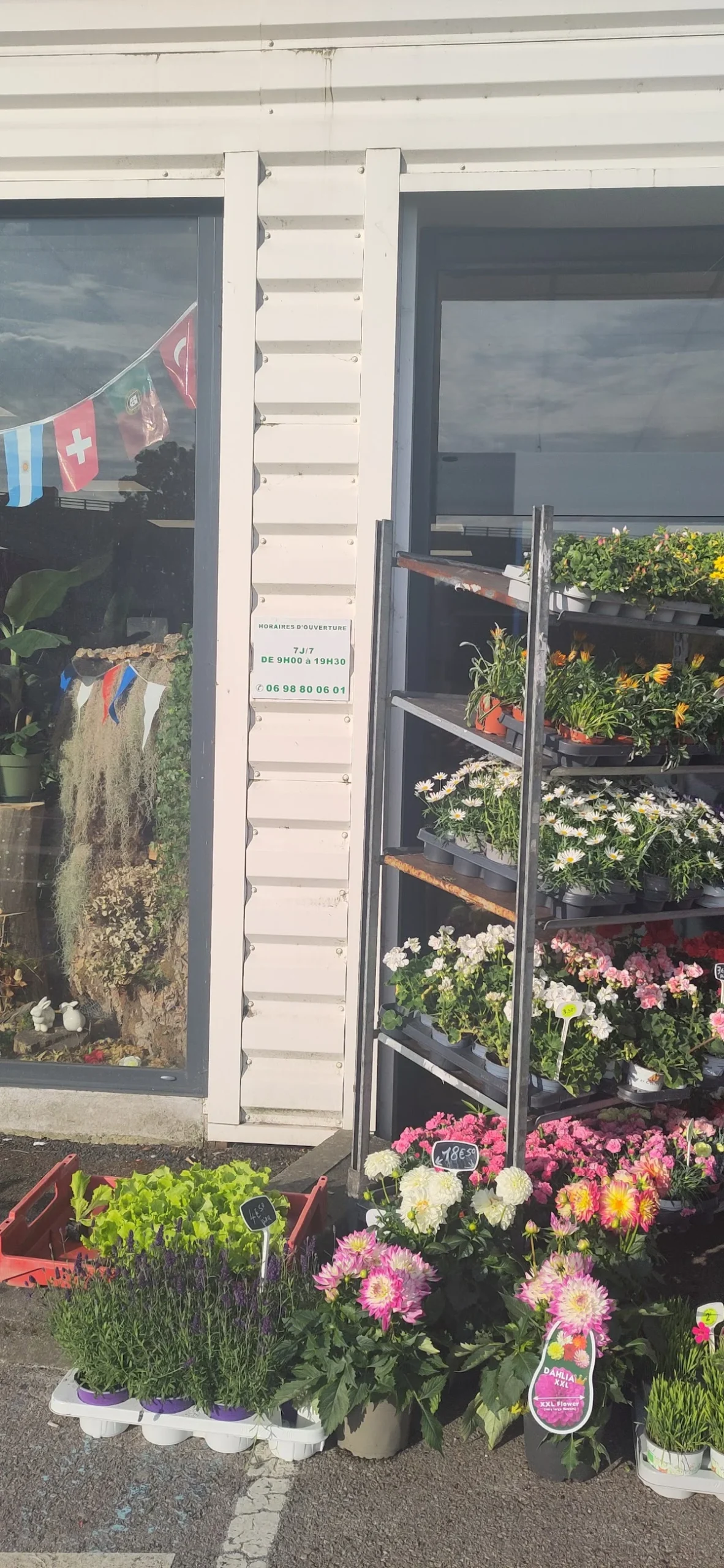 Au Marché aux fleurs - 2