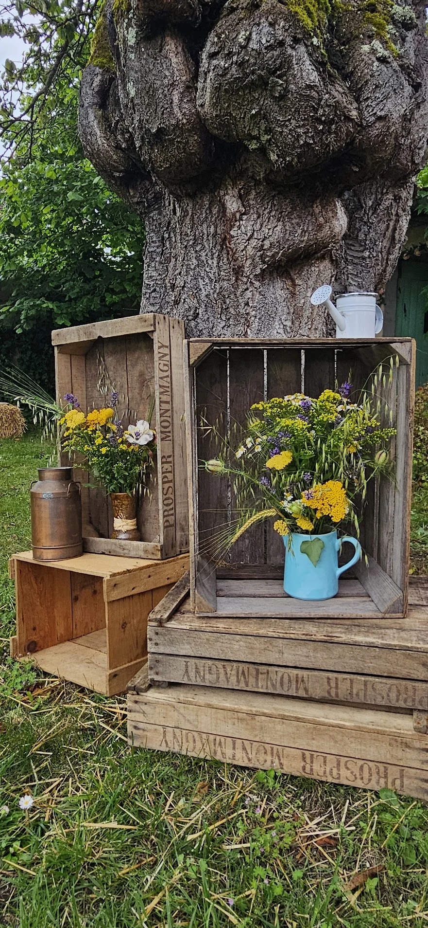 Au Moulin Fleuri - 3