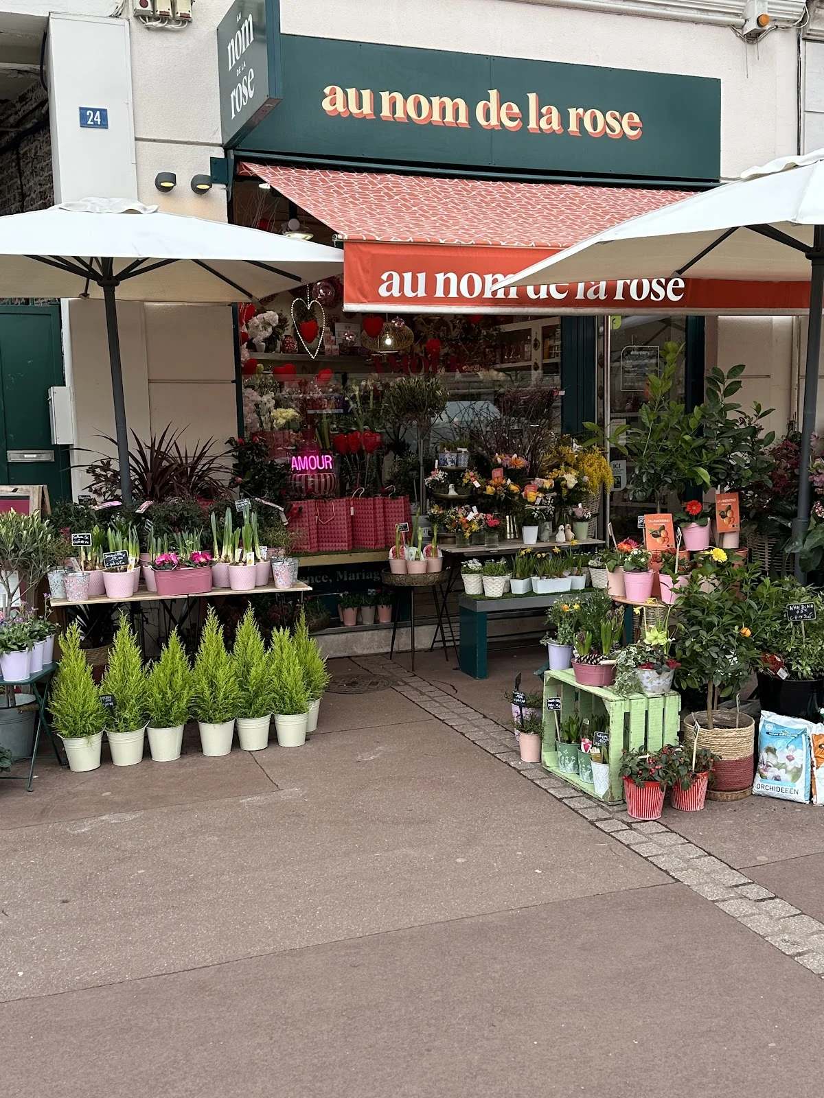 Au Nom De La Rose - Fleuriste Maisons-Laffitte