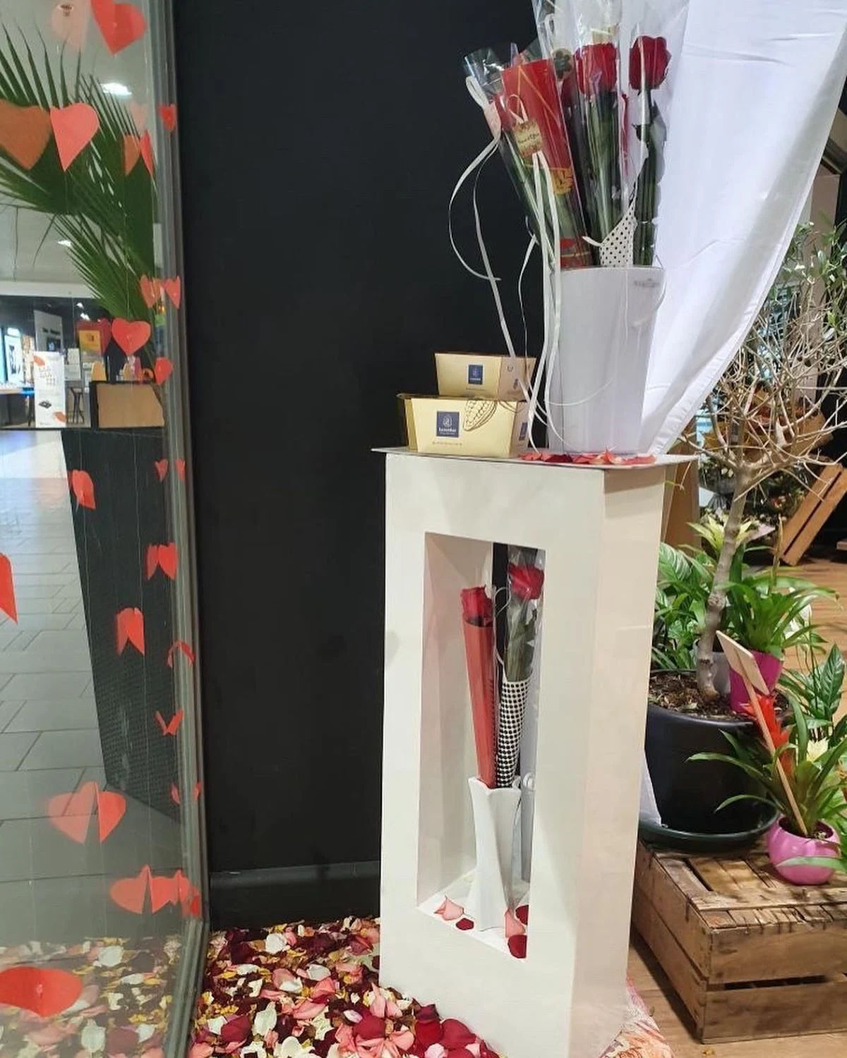 Au Temps des Fleurs Aussonne | Fleuriste Montauban - 2