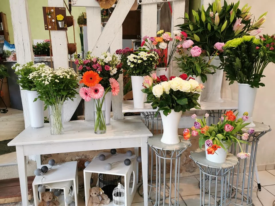 Aubin d'Fleurs - 4