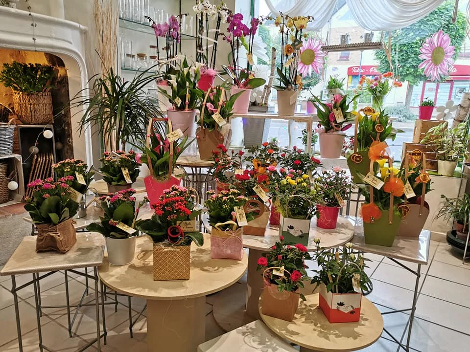Aubin d'Fleurs - 5