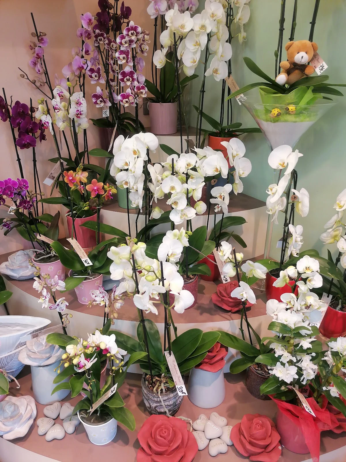 Audeline Fleurs - 2