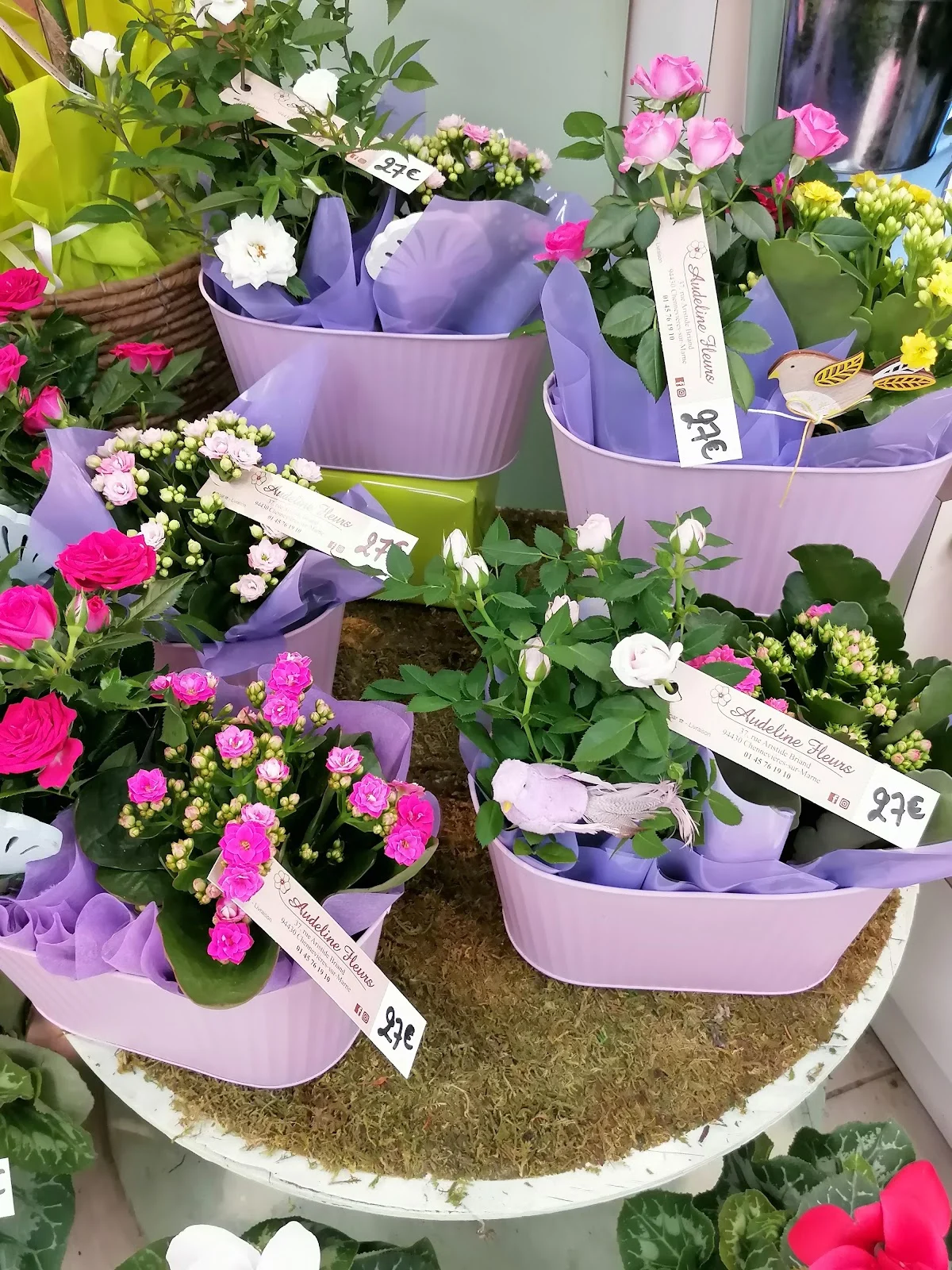 Audeline Fleurs - 5
