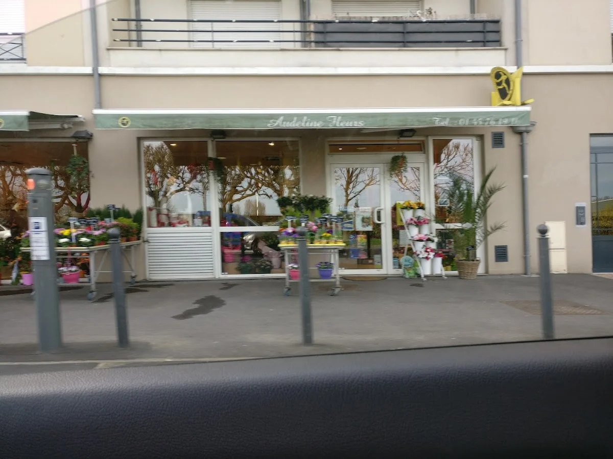 Audeline Fleurs