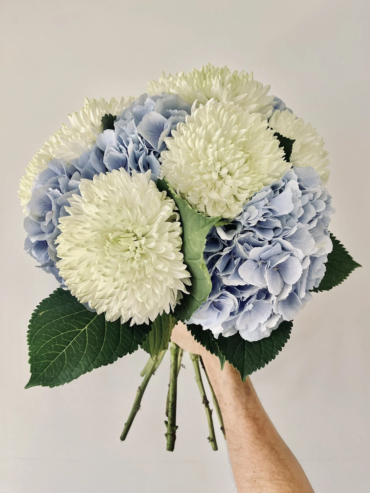 Auque & Vong Artisan Fleuriste - 4