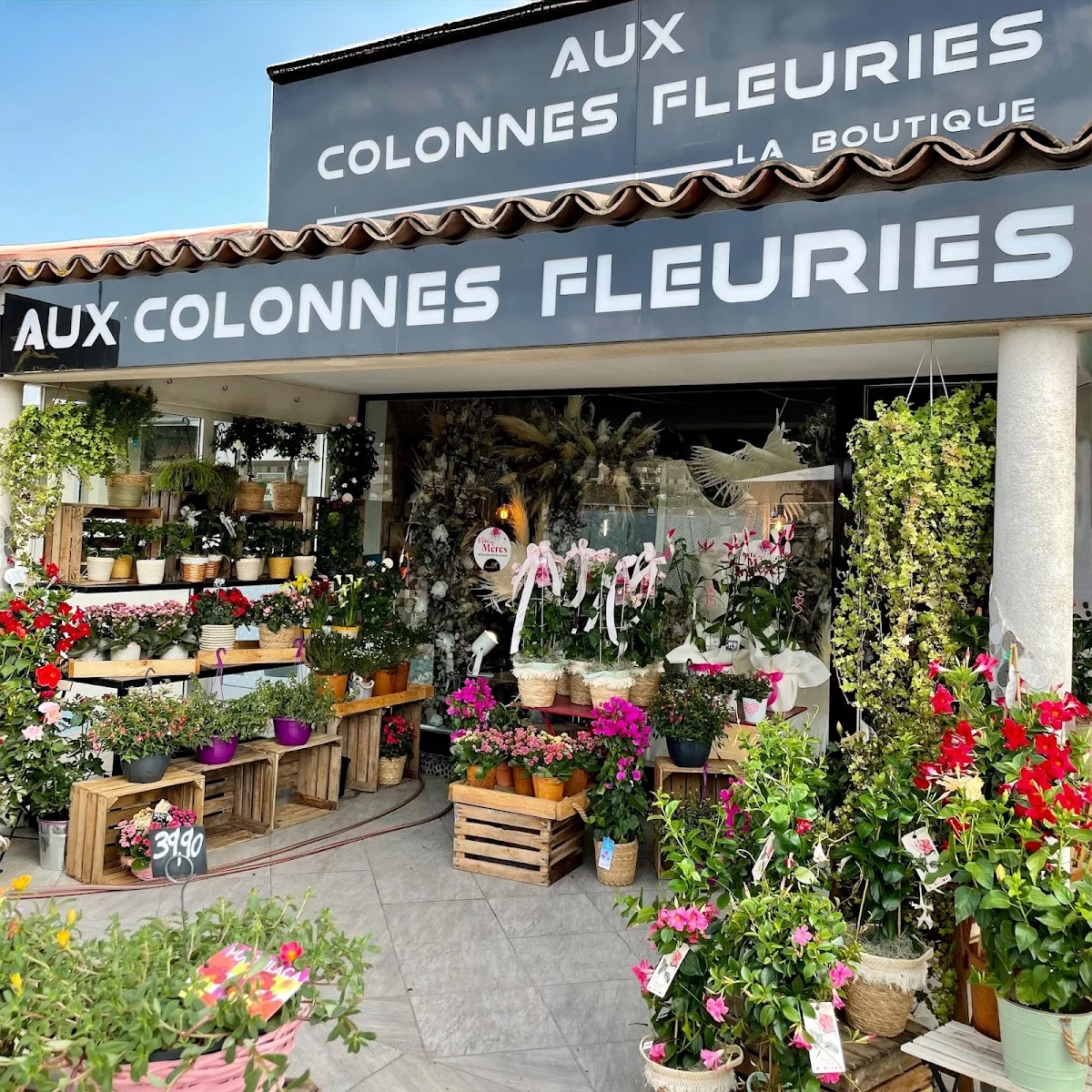 Aux Colonnes Fleuries | Fleuriste Ajaccio - 3