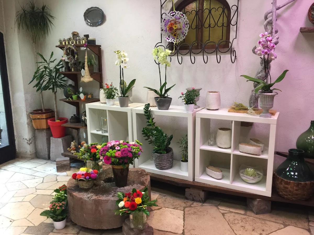 AUX FLEURS DE L'ORANGERIE - 3
