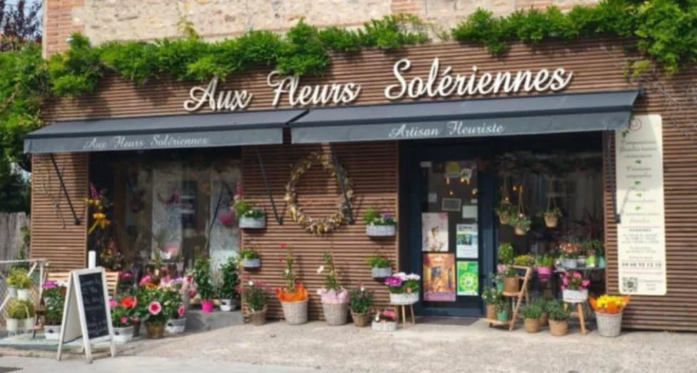 Aux Fleurs Solériennes - Artisan Fleuriste