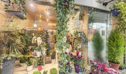 Aux jardins de grasse