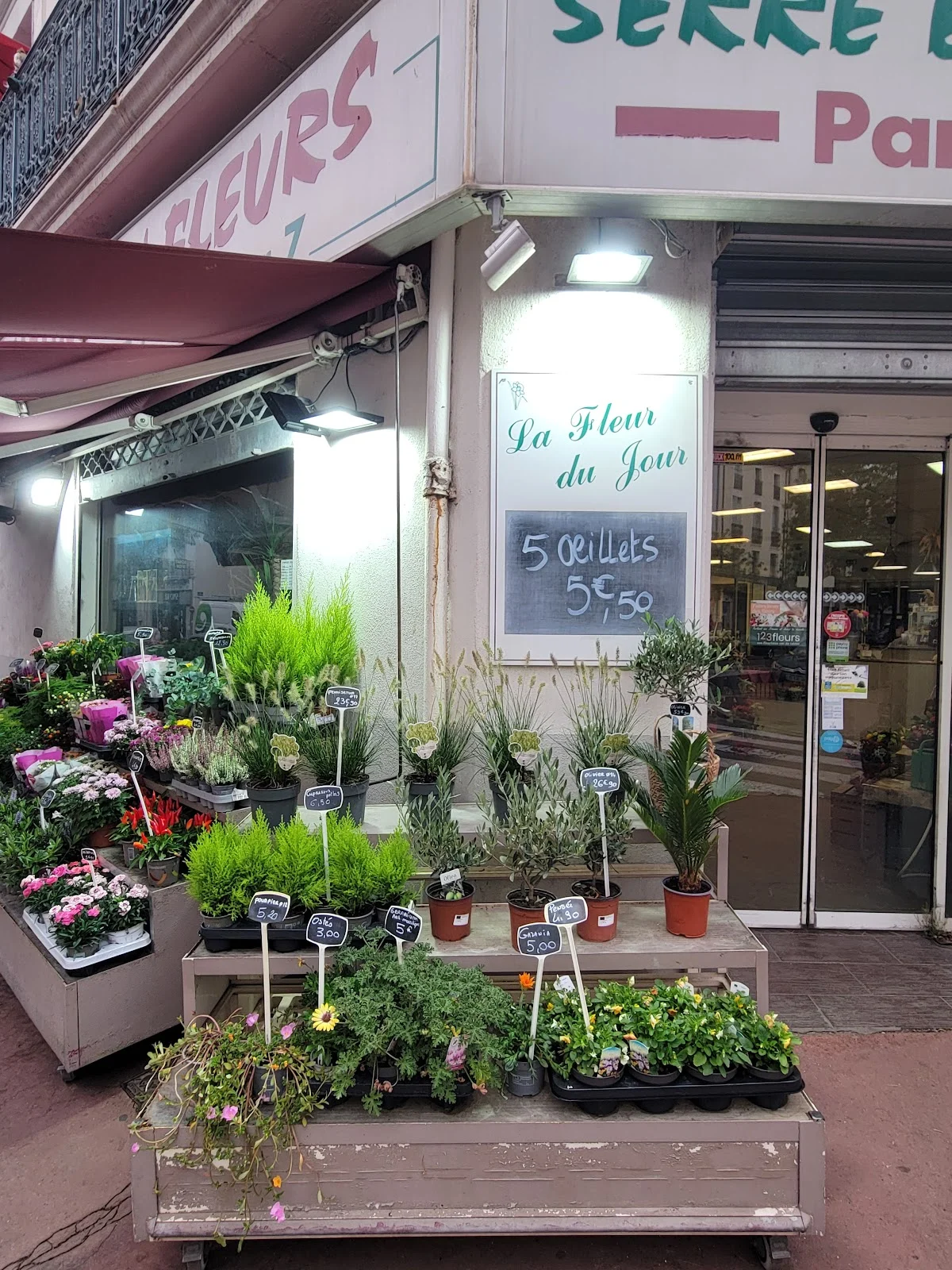Aux Matins en Fleurs - Fleuriste Béziers - 2
