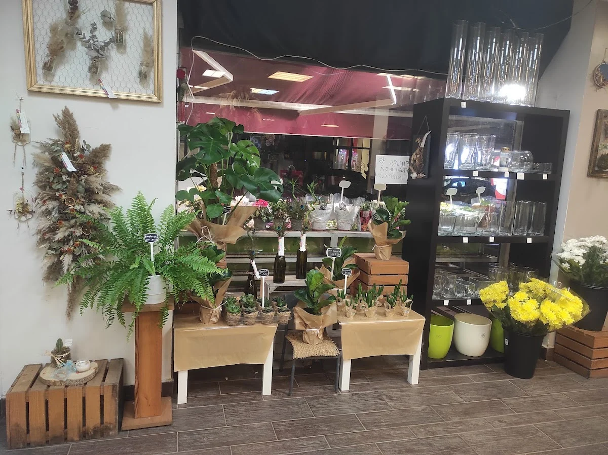 Aux Matins en Fleurs - Fleuriste Béziers - 3