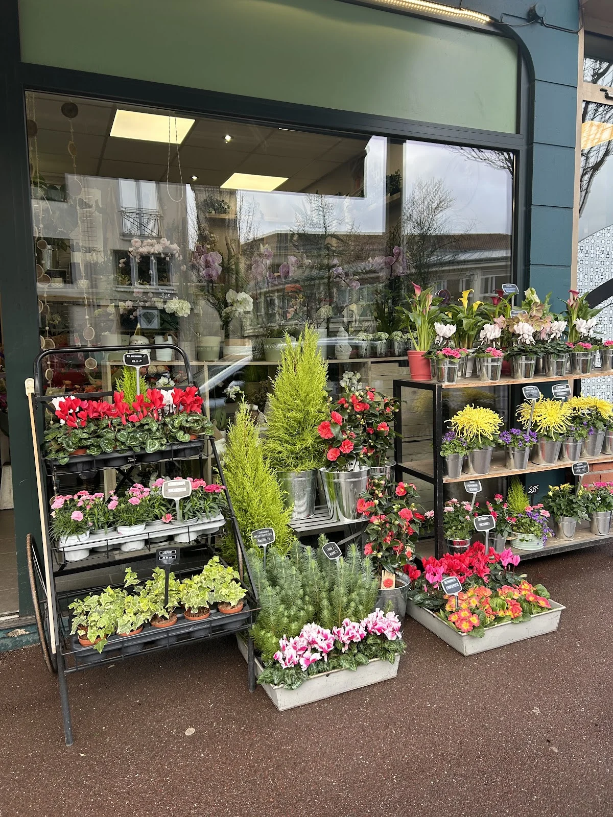 Aux Roses de Fontenay