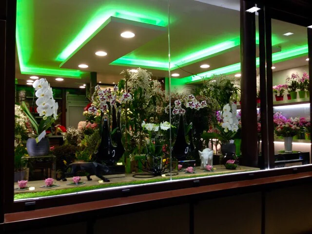 Avec des Fleurs - 2