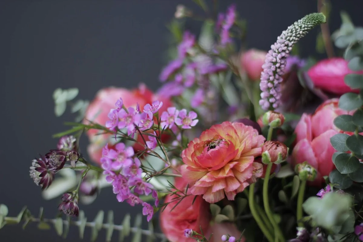 Avril Mai - 2
