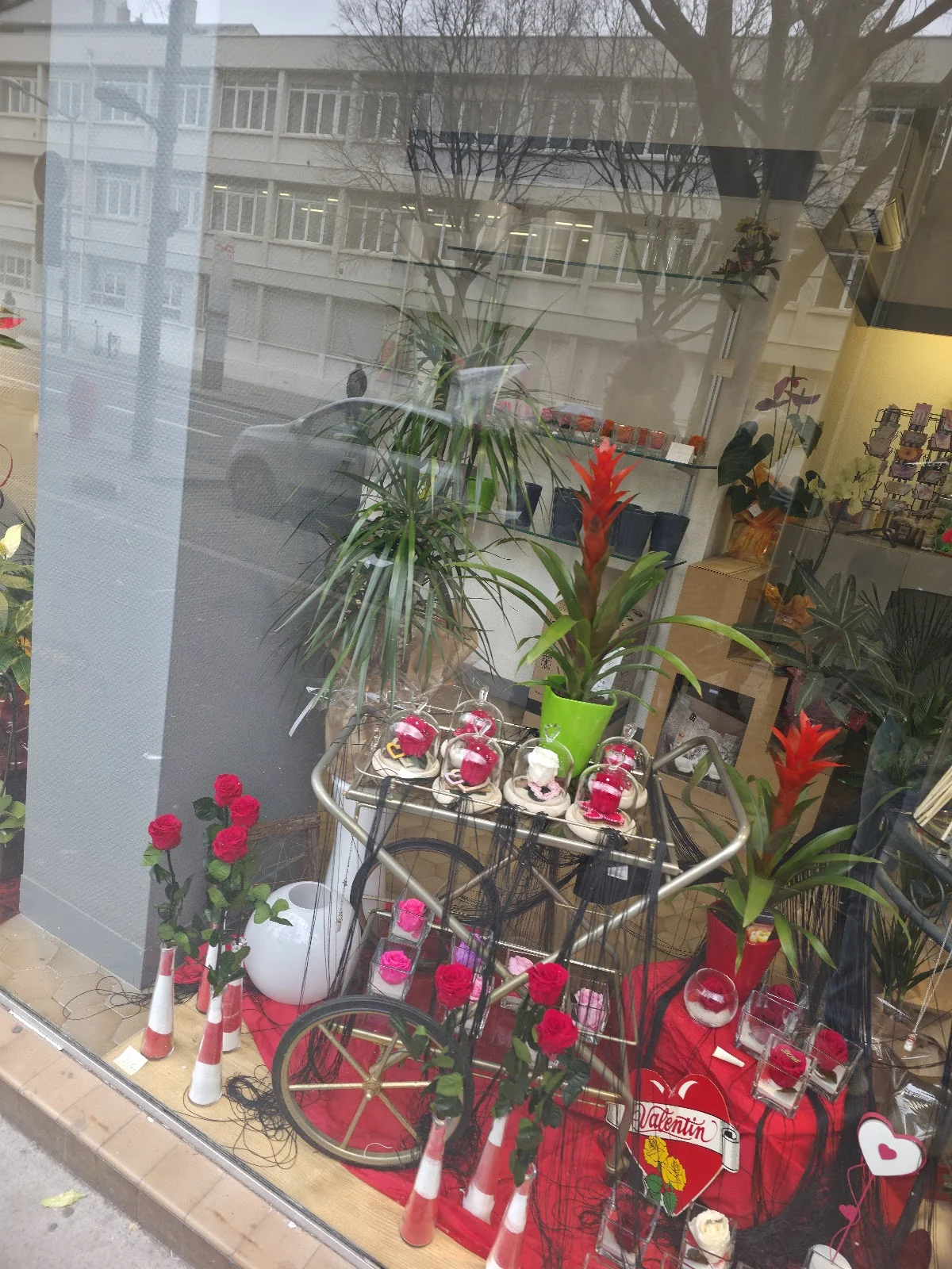 B.B. Fleurs - 2