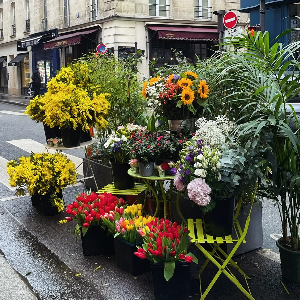 Bac à Fleurs - 4