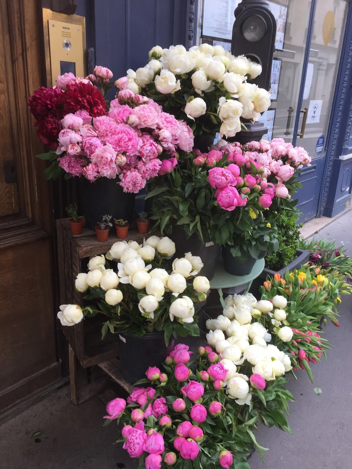 Bac à Fleurs - 5