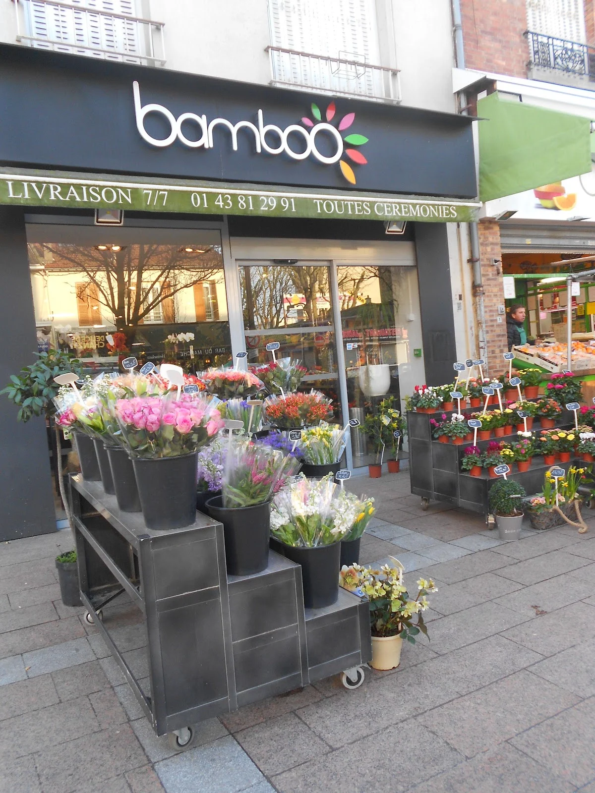 Bamboo