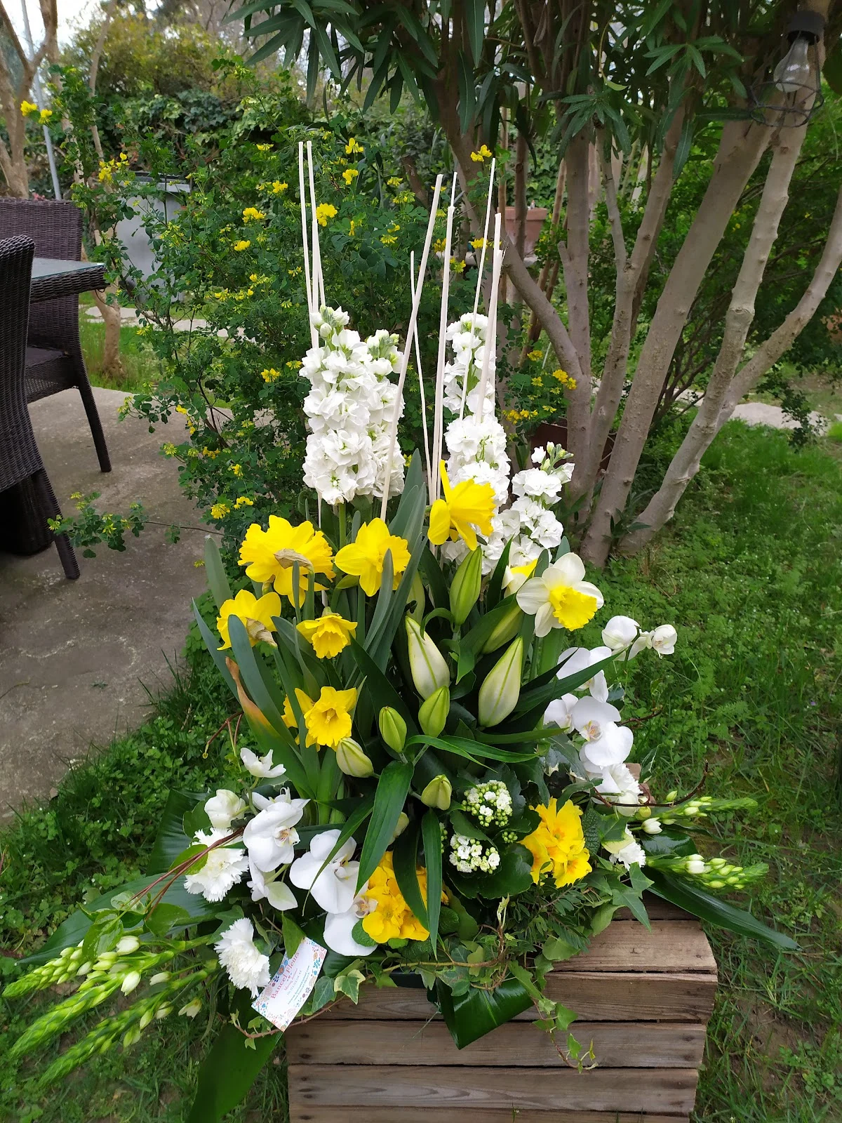 Bancel Fleurs - 3