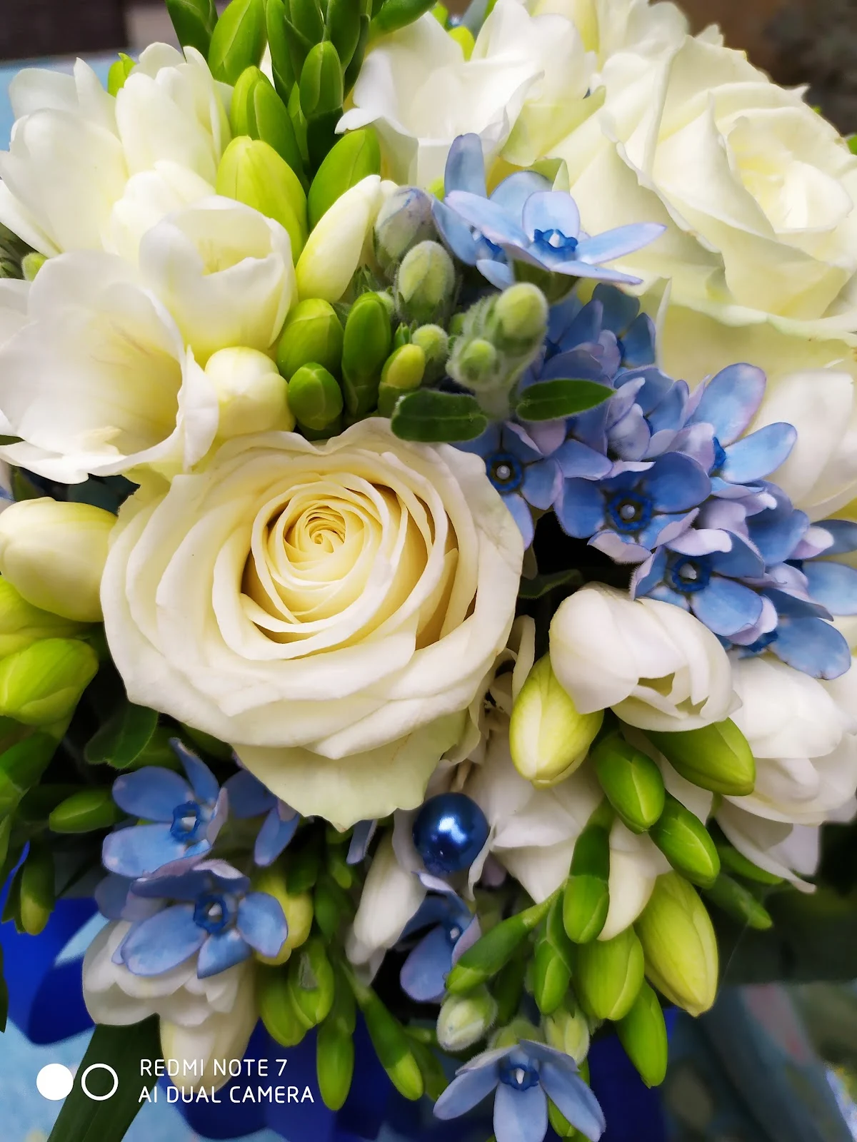 Bancel Fleurs - 4
