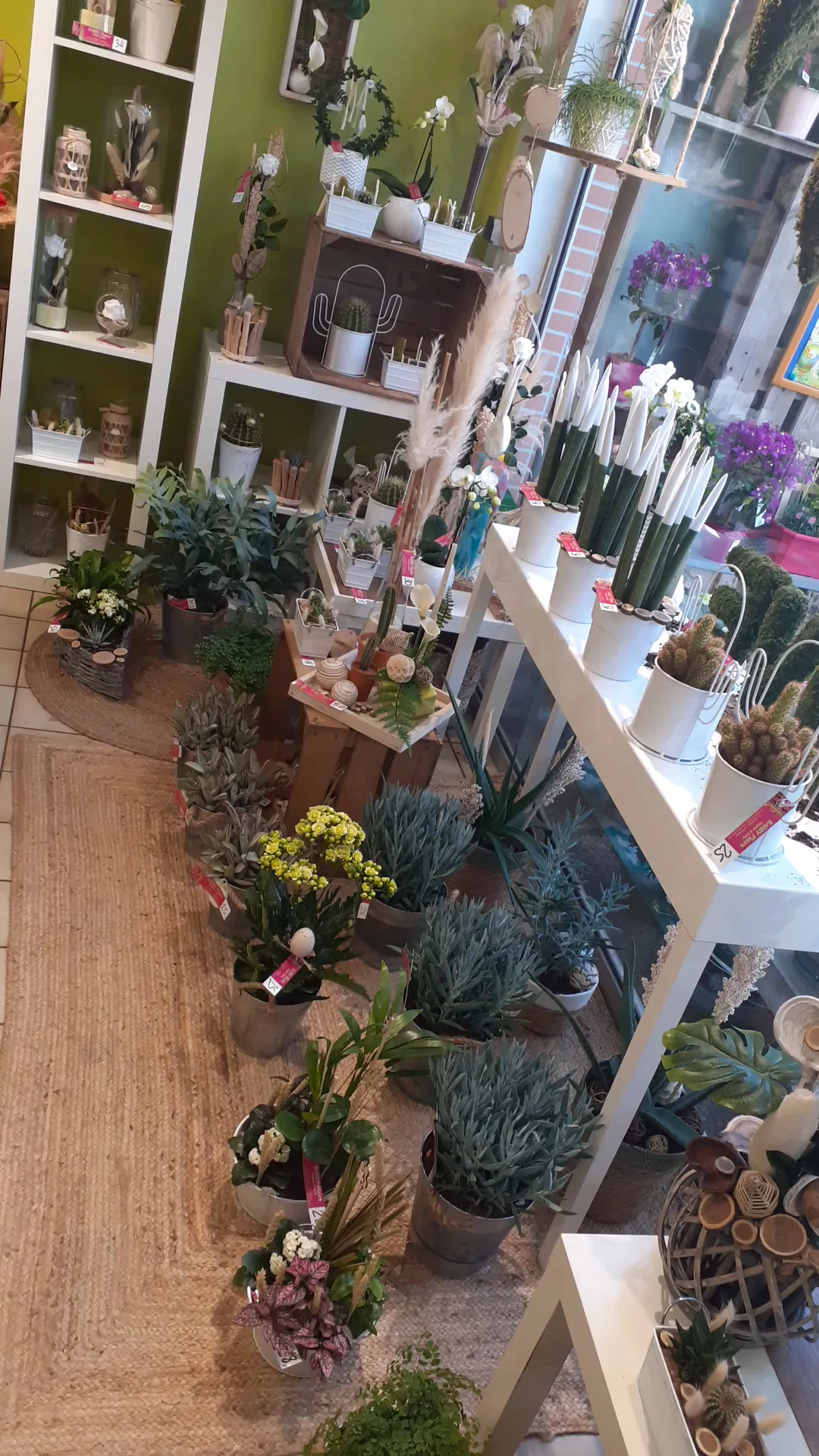 Barry fleurs - 2