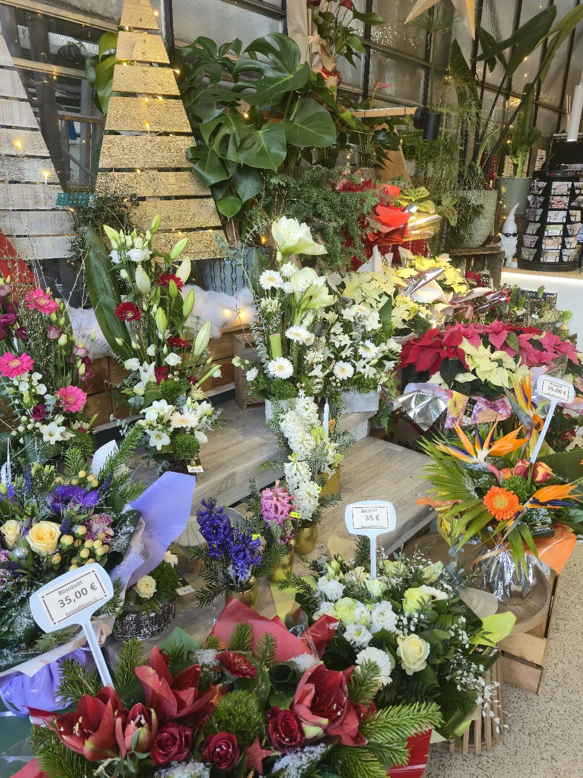 BELVAL FLEURS - 3