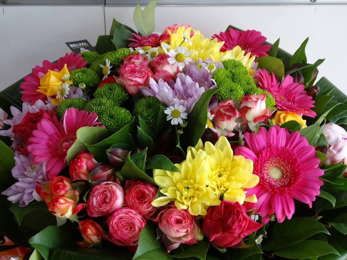BELVAL FLEURS - 4