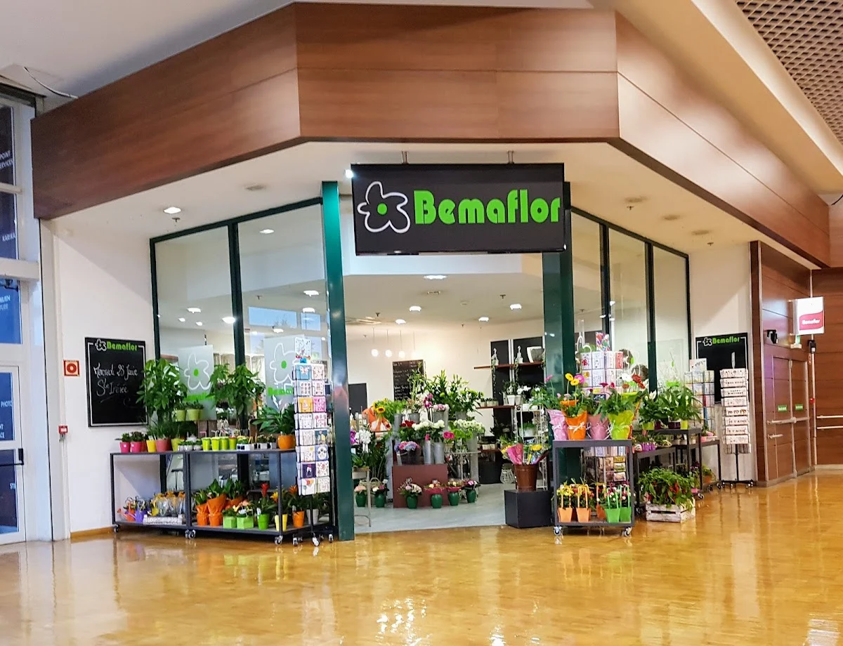 BEMAFLOR - 2