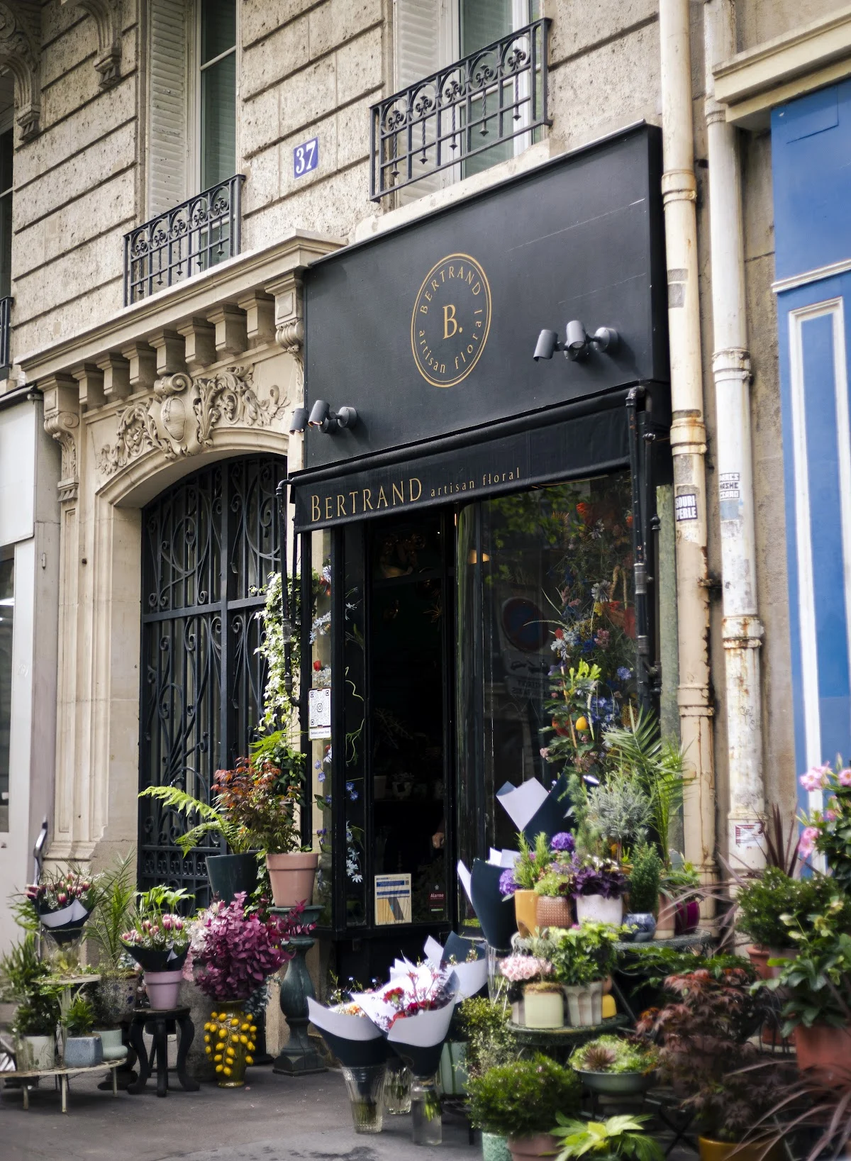 Bertrand Artisan Floral | Fleuriste Paris