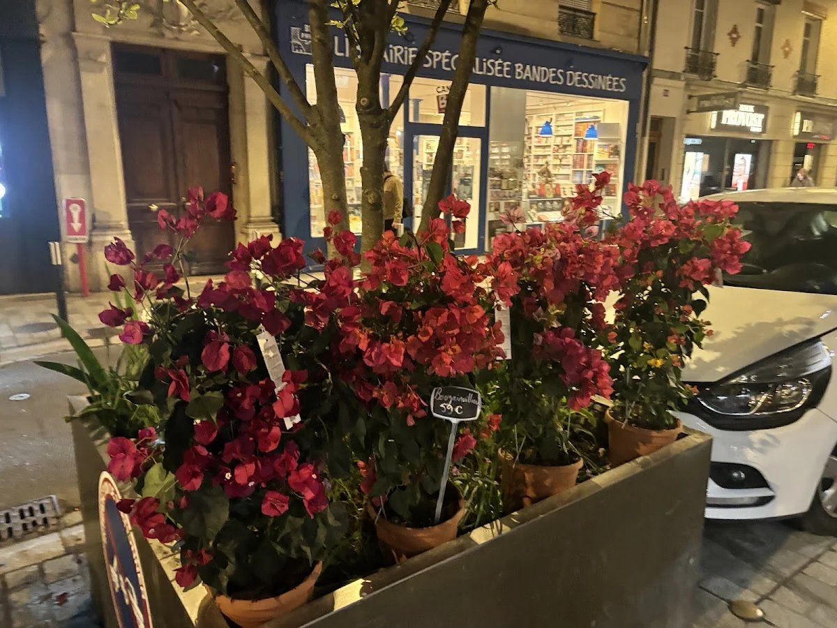 Bois Fleuris
