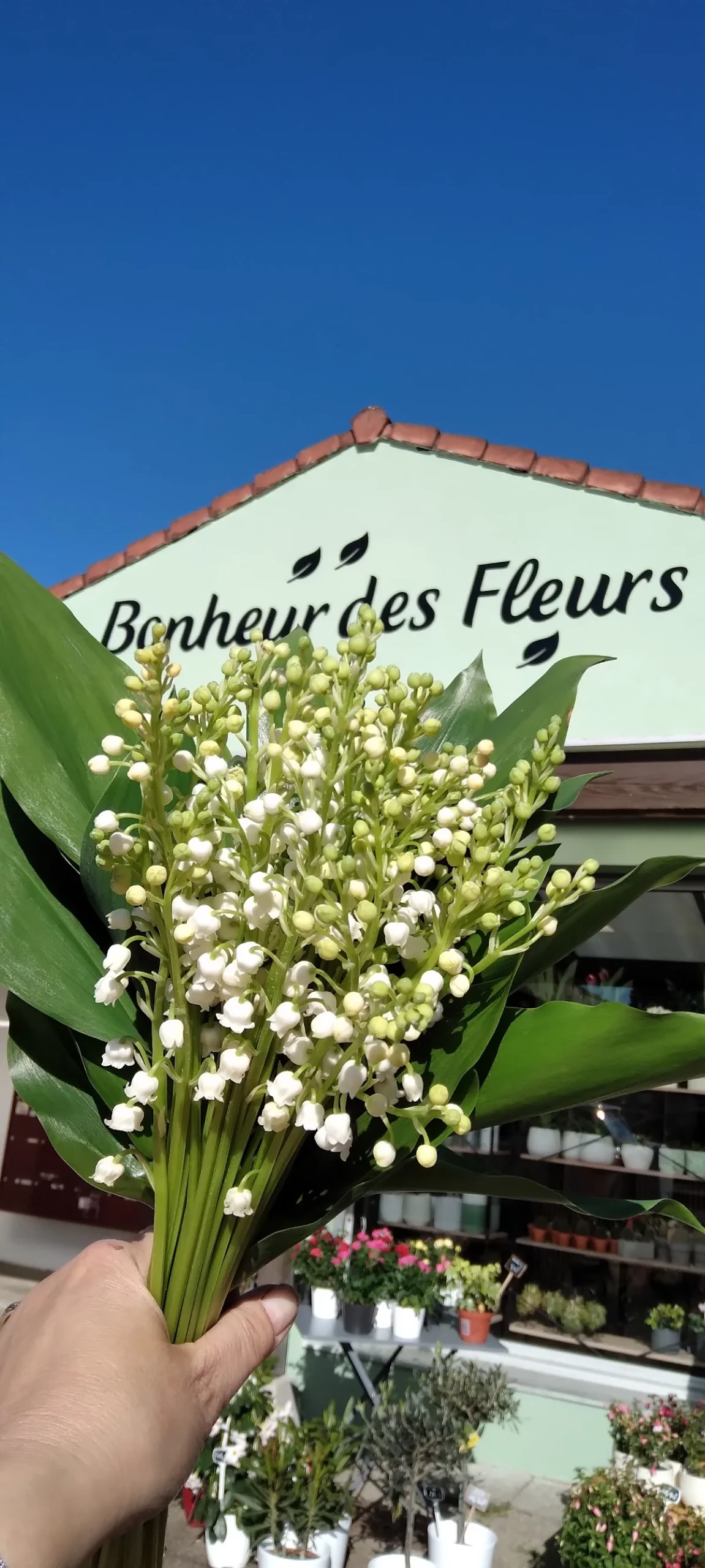 Bonheur des fleurs | Fleuriste La Montagne - 7