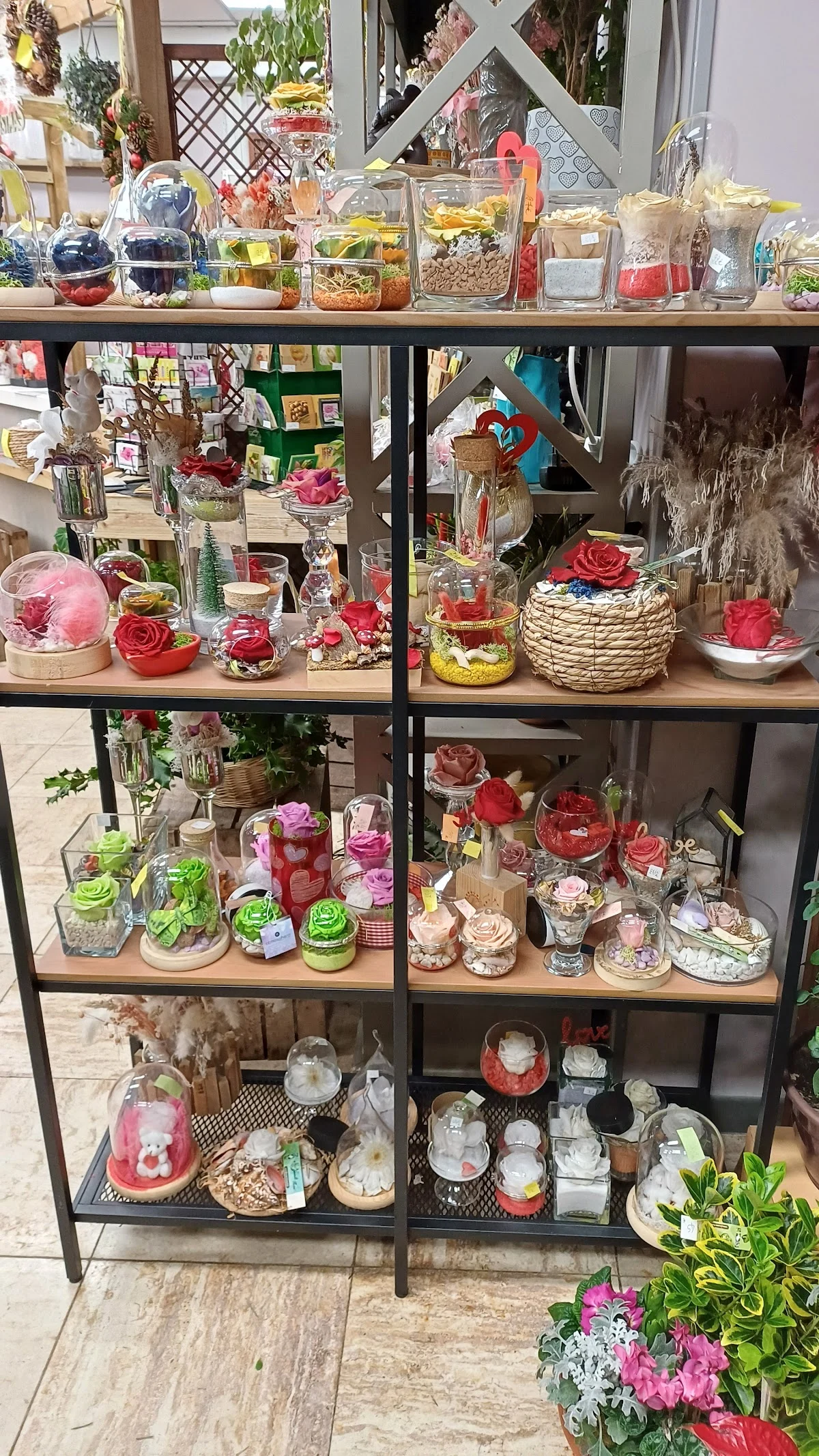 Bonnault Fleurs - 2