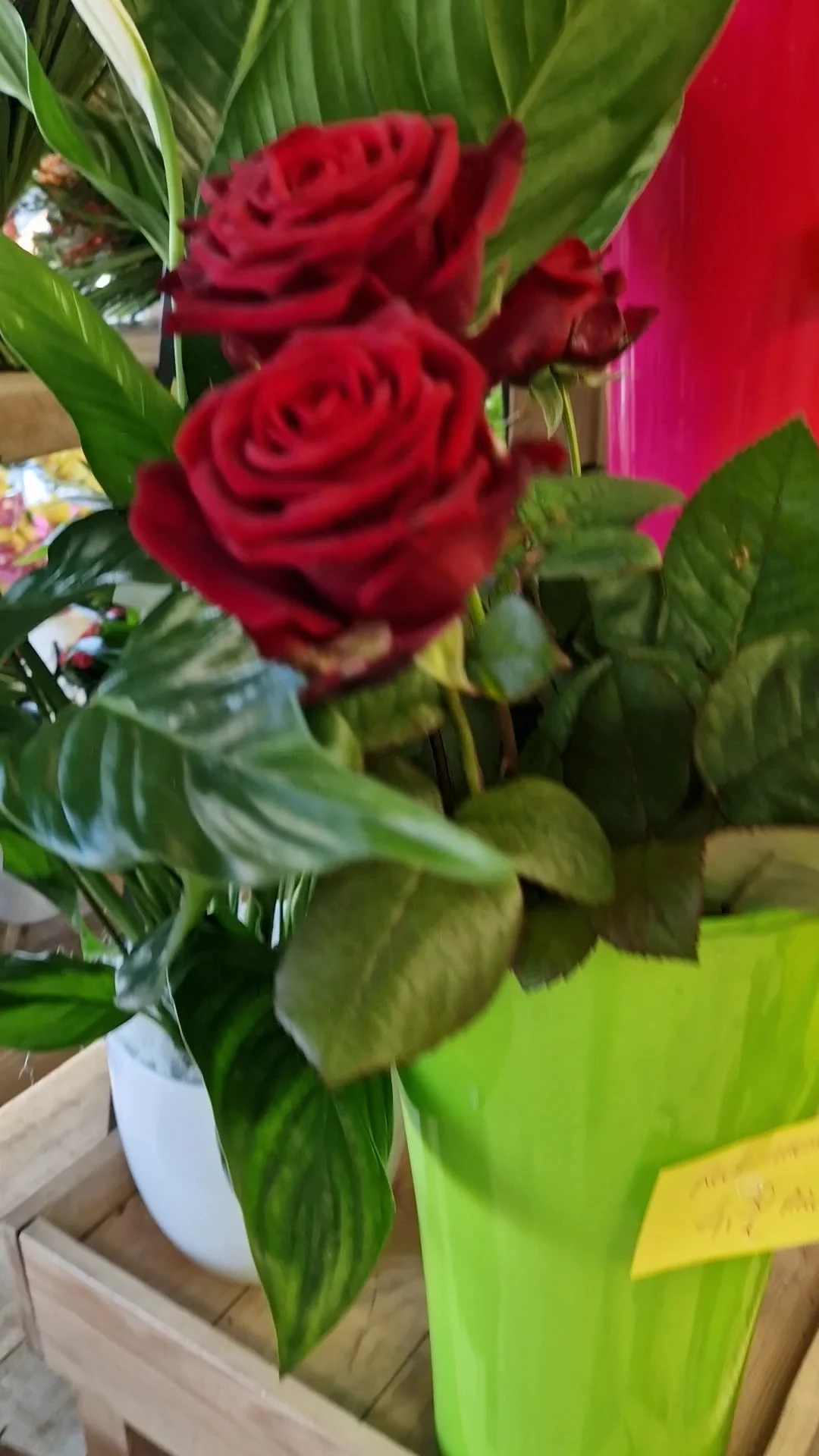Bonnault Fleurs - 6