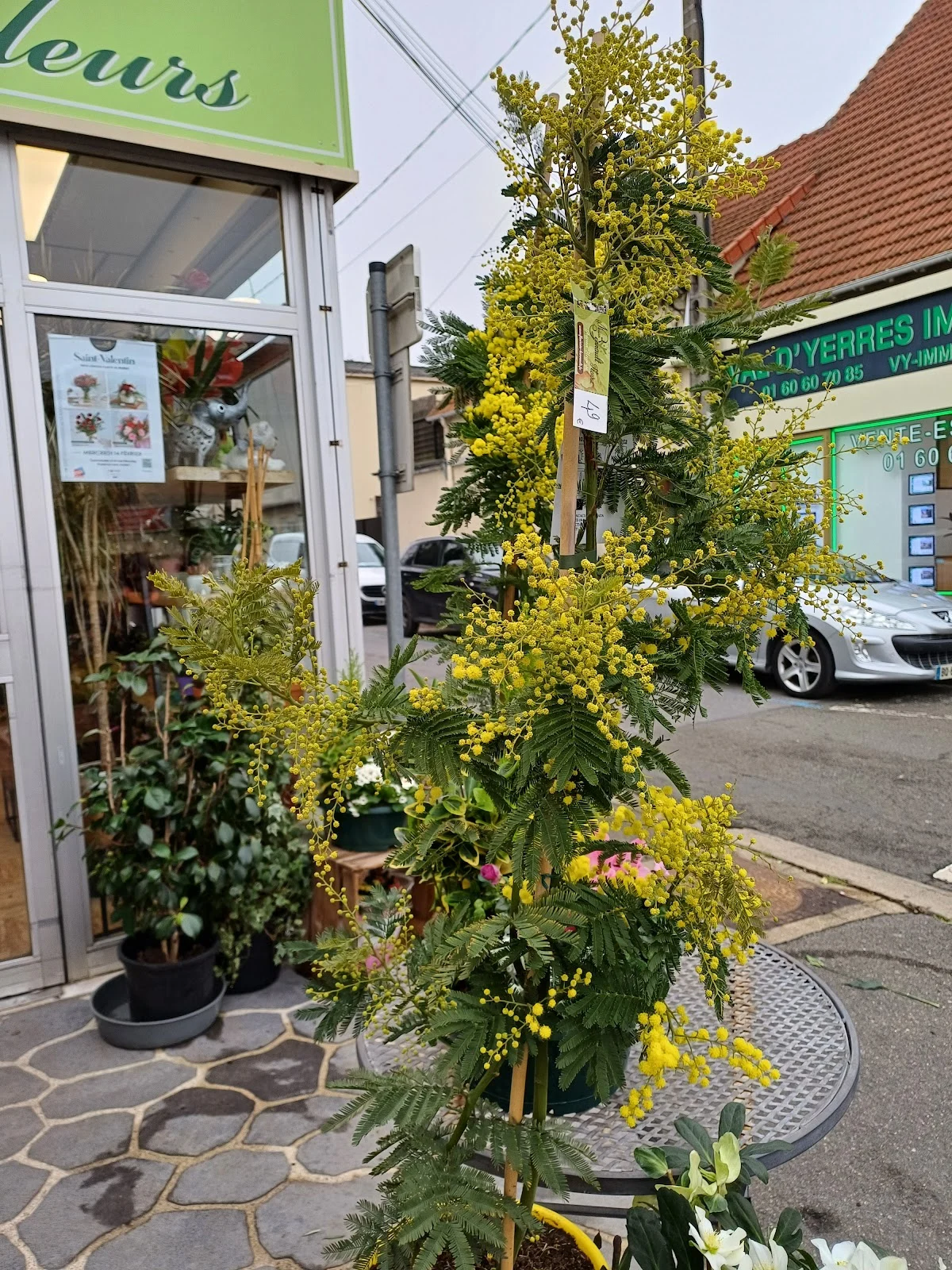 Bonnault Fleurs