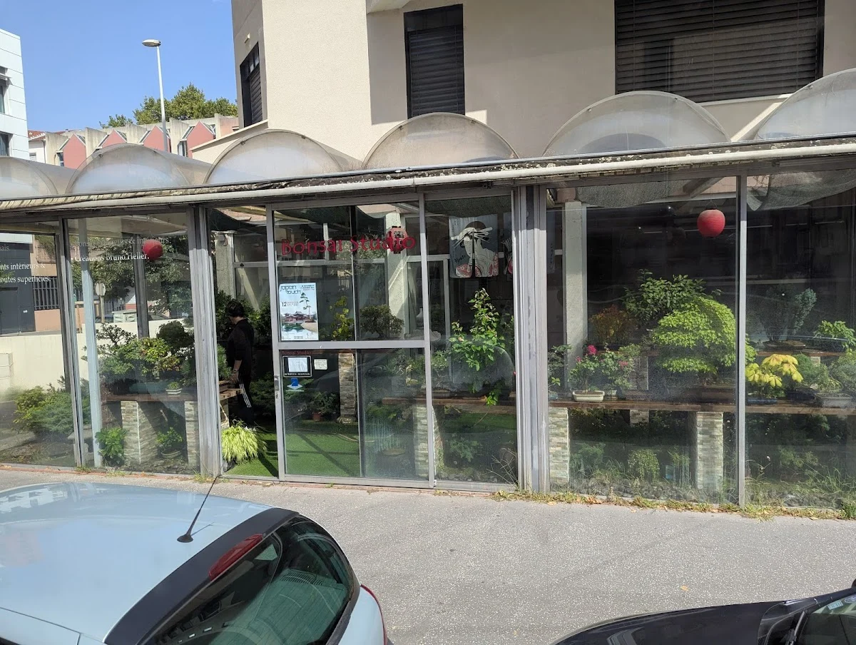 Bonsai Studio
