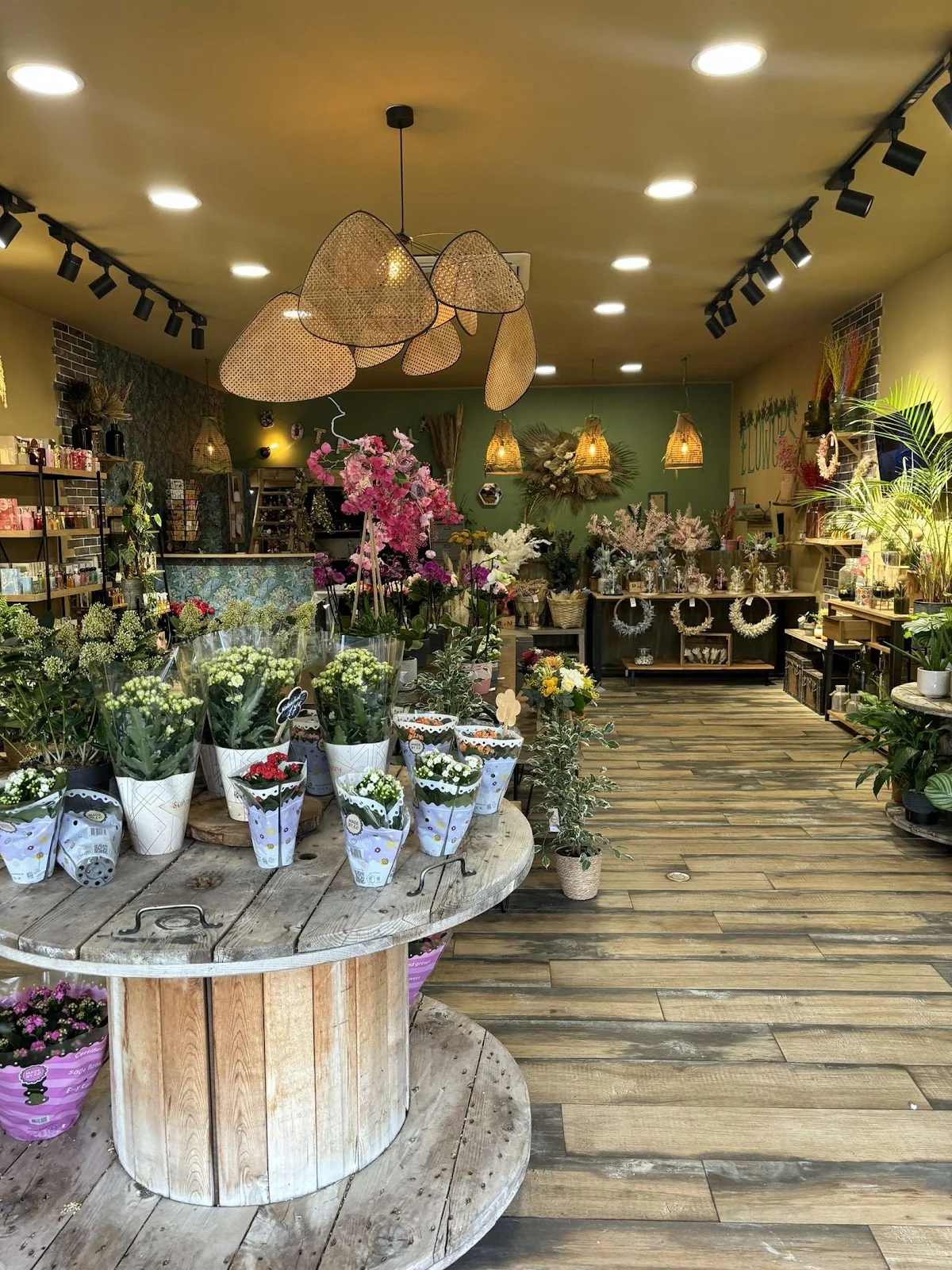 Botanika | Fleuriste Bastia - 3
